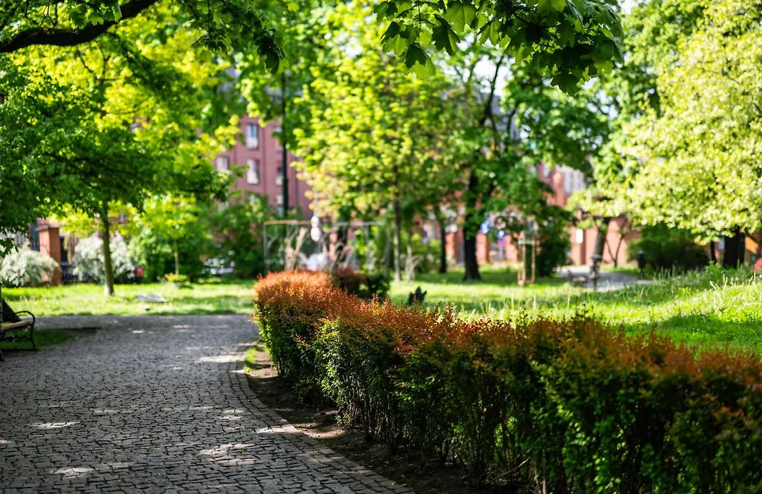 Mediolan Parking Gratis Moxy Te&Am Cracow-1